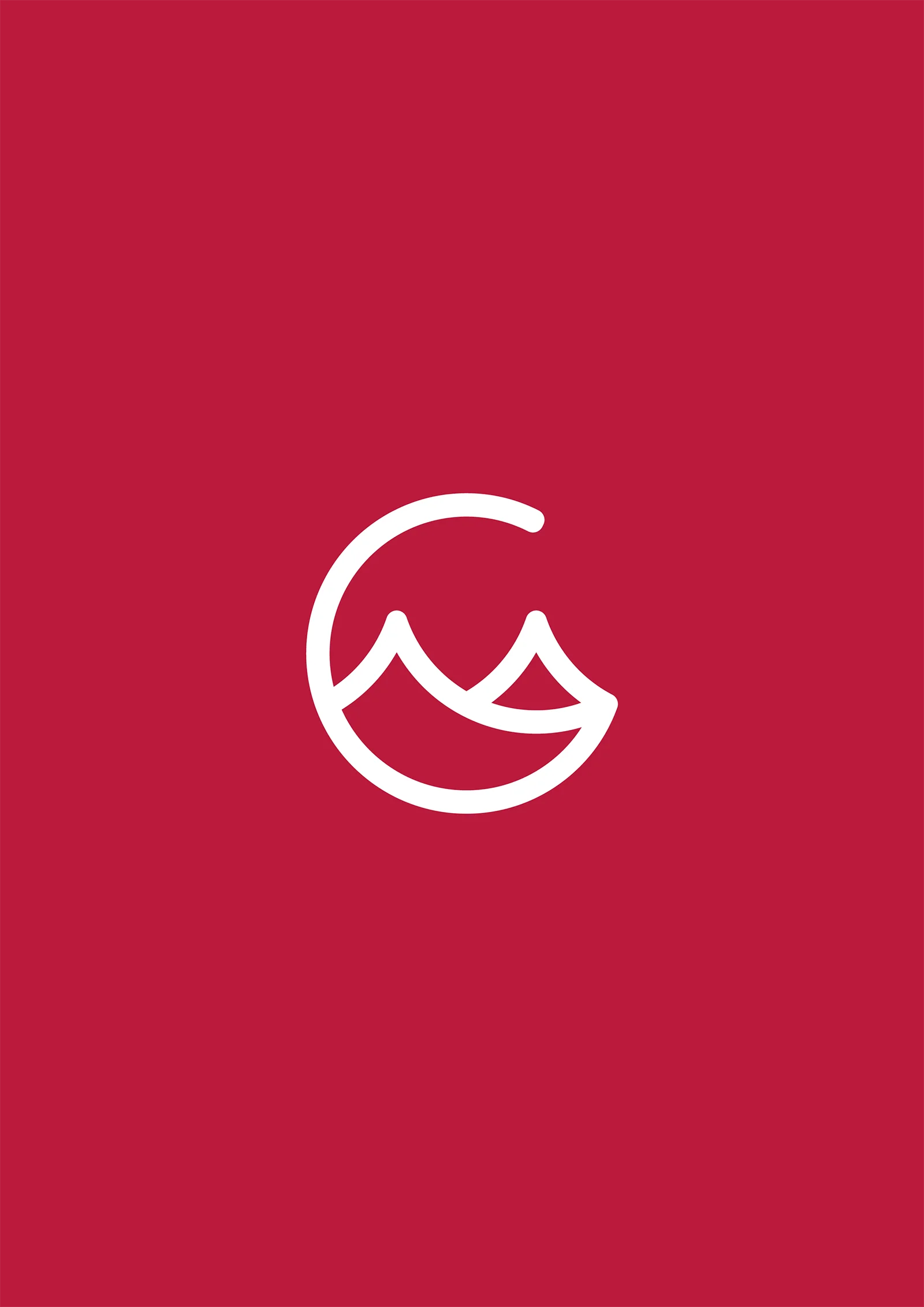 Travel Agency VIS